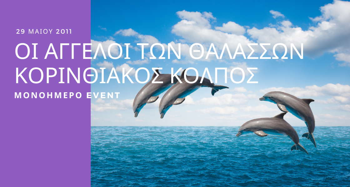 Swimming with Dolphins — Litochoro